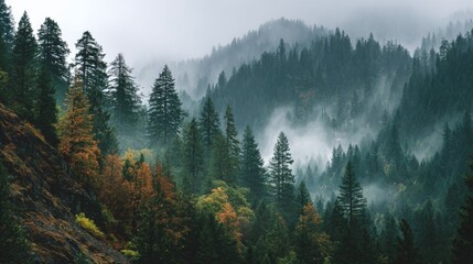 Misty Mountain Forest Landscape with Autumn Colors
