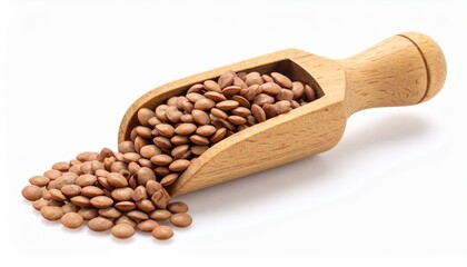 Oval-shaped brown lentils in a wooden scoop isolated against a white background