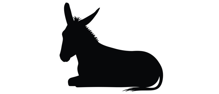 vector illustration of donkey silhouette isolated on white background