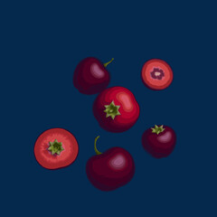 vector illustration of fruits