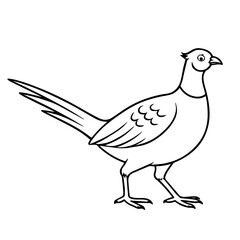 pheasant  vector realistic line icon on white background
Vector line icon animal, wildlife
