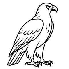 golden eagle vector realistic line icon on white background
Vector line icon animal, wildlife