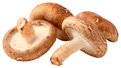 Fototapeta premium Group of fresh brown shiitake mushrooms PNG isolated on transparent background. Edible fungus used in Asian cuisine, perfect for healthy eating, vegetarian, cooking ingredients, or packaging design.