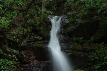 みどり市の不動滝　雨の日の風景