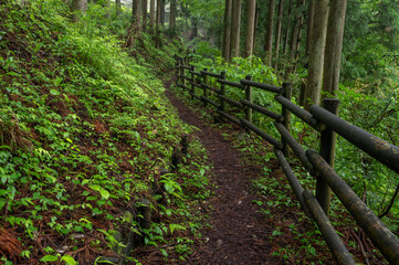 群馬県みどり市の不動滝の遊歩道
