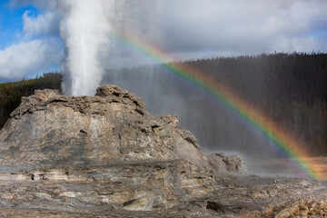 Le parc de Yellowstone et sa faune