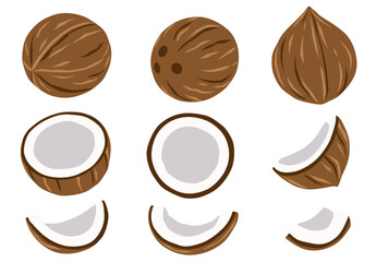 Coconuts and coconut half with leaves isolated on a white background. Vector illustration cartoon flat coconut icon isolated on white background.	