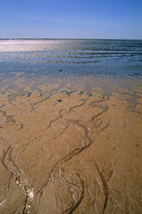 Réserve Naturelle de la baie de l’Aiguillon, Vendée, 85, France