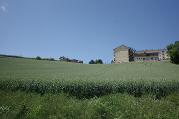 rural landscape with barn