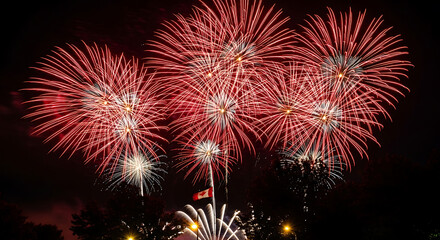 Fototapeta premium Burst of Celebration: Fireworks Display at Night US Independence Day