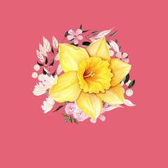 A vibrant watercolor daffodil bouquet on a soft pink background.