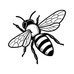 bee vector realistic line icon on white background
Vector line icon animal, wildlife