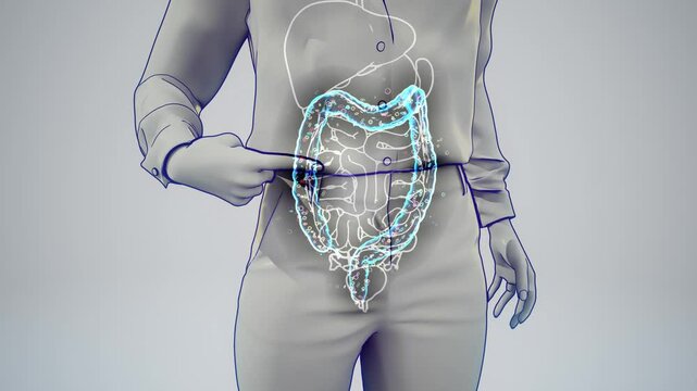 Conceptual 3D animation of a woman's gut