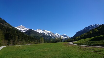 Alpine Meadow with Snow-Capped Mountains and Curving Trail