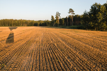 Stubble of a mowed grain field at sunset, high viewpoint from a hot air balloon, forest edge.