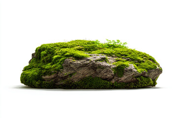 a rock covered in green moss on a white surface