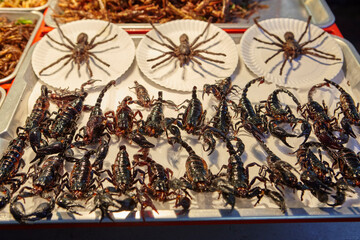 Sales of fried insects in Khao San Road, Bangkok, Thailand
