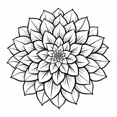 vector illustration of a flower