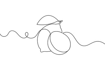 Minimal one line art lemon  simple continuous drawing isolated vector

