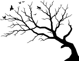 Fototapeta premium Silhouette of a Leafless Tree with Birds in Flight
