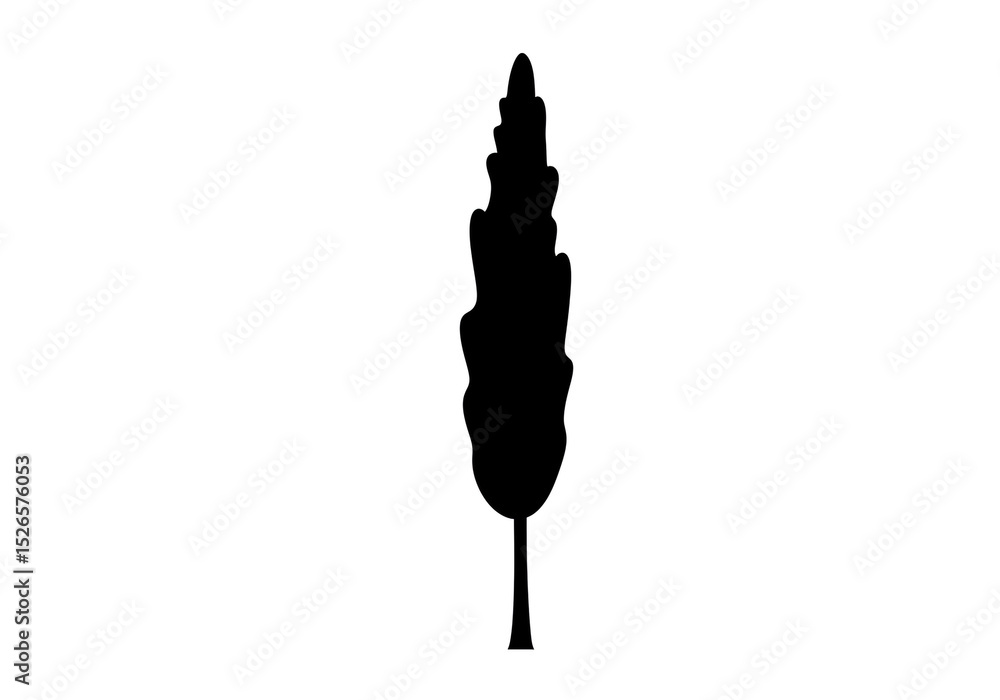 Poster silhouette of a cypress tree with a long slender shape against a plain white background in a vector 