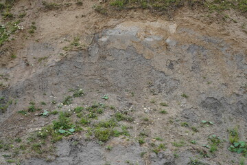 Nahaufnahme des Steilufers der Ostsee zwischen Sierksdorf und Neustadt in Holstein