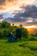 Obraz premium Schwarzwald