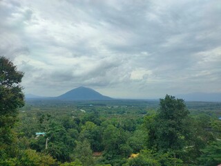 A peaceful morning sky with soft blue hues and gentle clouds above a green forest. Ideal for background use, graphic design, presentations, and travel content.