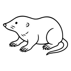 mole vector realistic line icon on white background
Vector line icon animal, wildlife