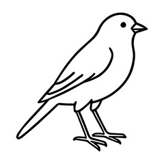 canary vector realistic line icon on white background
Vector line icon animal, wildlife