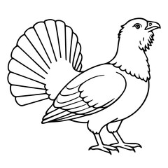 wood grouse vector realistic line icon on white background
Vector line icon animal, wildlife