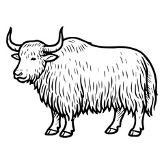 yak vector realistic line icon on white background
Vector line icon animal, wildlife