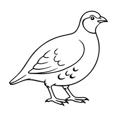 partridge vector realistic line icon on white background
Vector line icon animal, wildlife