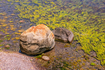 Rocks surrounded by algae in sea. A close-up view of large rocks partially submerged in sea. Natural aquatic environments. Use for themes related to ecology and marine life.