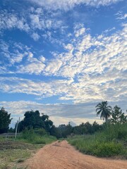 A peaceful morning sky with soft blue hues and gentle clouds above a green forest. Ideal for background use, graphic design, presentations, and travel content.
