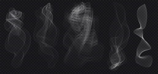 Set of Transparent Abstract Smoke Wave Elements on Dark isolated Background