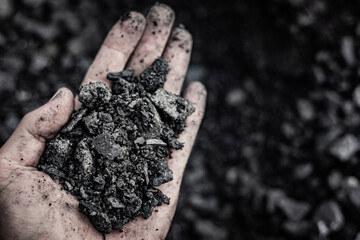 coal in the hand. Coal in the Hand of Miners. Mining Industry Concept. Heavy Industry. Heating. Mineral Raw Materials. Natural Resources