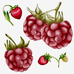 Colorful watercolor fruit pattern featuring strawberries and raspberries on a white background