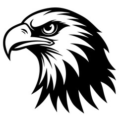 eagle head vector illustration