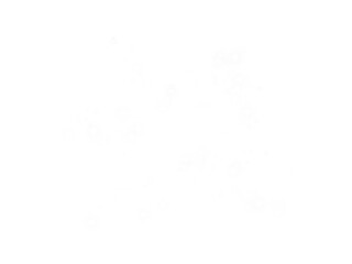 Sun Energy Flash. Vibrant White Light Burst Effect for Abstract and Magical Designs