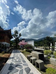 A peaceful morning sky with soft blue hues and gentle clouds above a green forest. Ideal for background use, graphic design, presentations, and travel content.