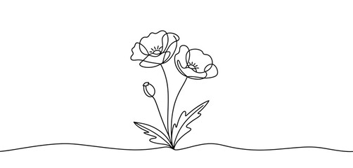 Elegant Single Line Drawing of Two Poppies