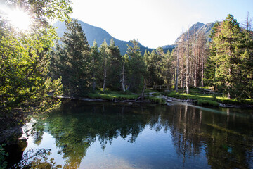 Fototapeta premium Summer landscape in Vall de Boi in Aiguestortes and Sant Maurici National Park, Spain