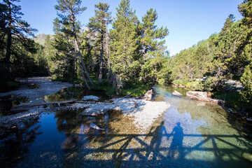 Summer landscape in Vall de Boi in Aiguestortes and Sant Maurici National Park, Spain