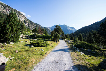Summer landscape in Vall de Boi in Aiguestortes and Sant Maurici National Park, Spain