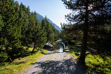 Summer landscape in Vall de Boi in Aiguestortes and Sant Maurici National Park, Spain