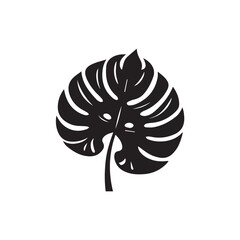 vector illustration of monstera leaf 