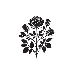vector illustration of rose plant