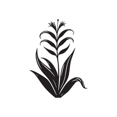 Aloe Vera plant vector illustration