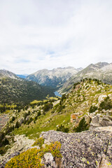 Fototapeta premium Summer landscape in Vall de Boi in Aiguestortes and Sant Maurici National Park, Spain
